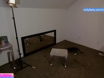 local cam girl chroniclove image #157605