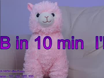 local cam girl sapphirealice image #2253595