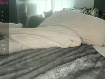 local cam girl blackgurlkitty image #2407715