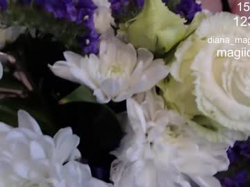 local cam girl magic_elf image #1213456