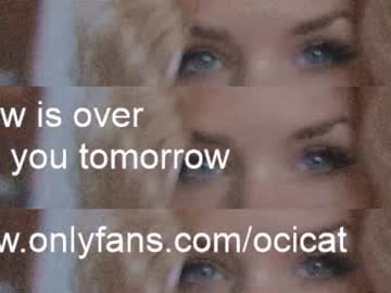 local cam girl ocicat image #2396045