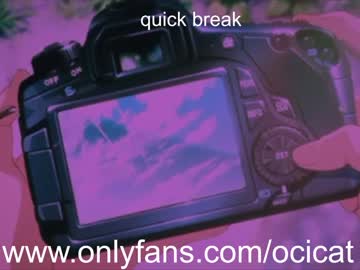 local cam girl ocicat image #1522613