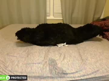 local cam girl pursueme_ image #386821
