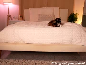 local cam girl blondiekayy image #421095