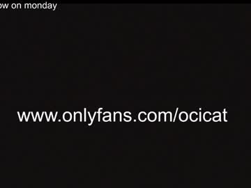 local cam girl ocicat image #2009670