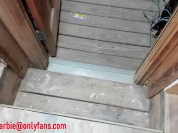 local cam girl rvlifebarbie image #2238565