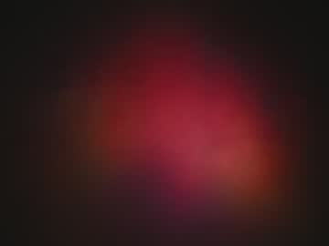 local cam girl rocknrose image #2347500