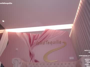 local cam girl wildtequilla image #2137533