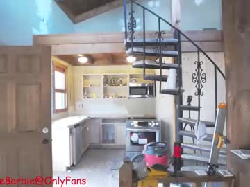 local cam girl rvlifebarbie image #2180279