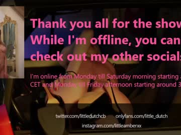 local cam girl little_dutch image #1729501