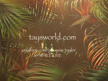 local cam girl phoenix_taylor image #1985190