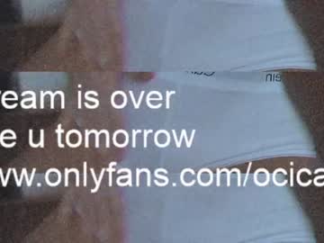 local cam girl ocicat image #2262389