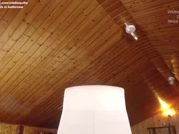 local cam girl wildtequilla image #1105547