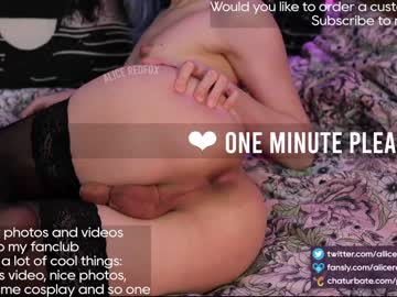 local cam tranny alliceredfox image #1810096