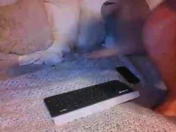 local cam man azguy0505 image #422758