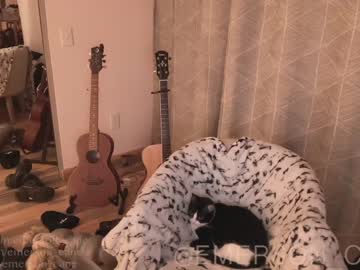 local cam girl emersoncane image #364325