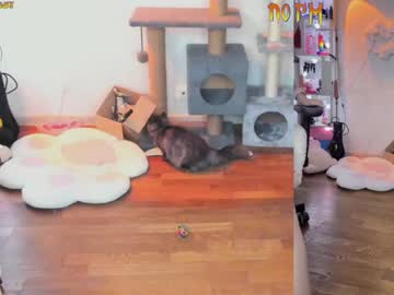 local cam girl _biscuitty image #1797705