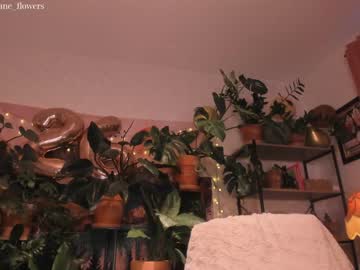 local cam girl jane_flowers image #1439856