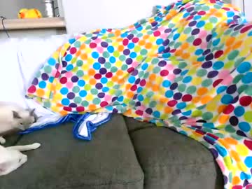 local cam girl alexxxcoal image #1999383