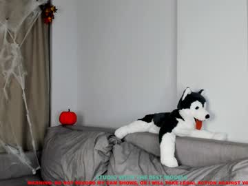 local cam girl coy_amina image #222608