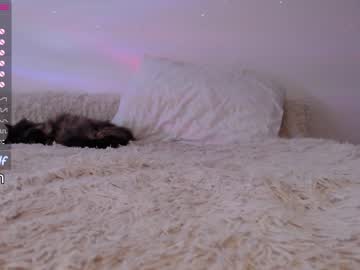 local cam girl magic_elf image #964369