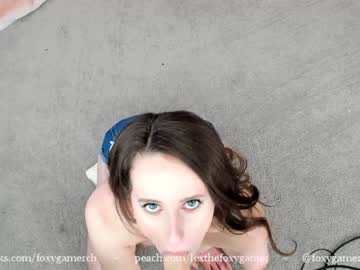 local cam girl foxy_gamer image #570032