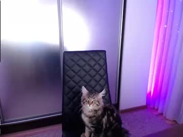 local cam girl kerelai image #2131133