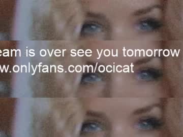 local cam girl ocicat image #2239381