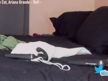 local cam girl hollyextra image #1506817