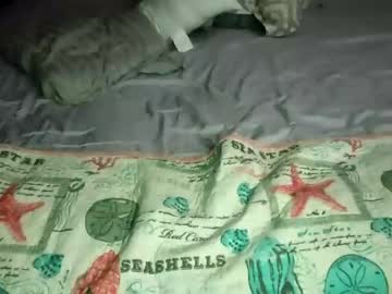 local cam girl thatshot0820 image #2120284