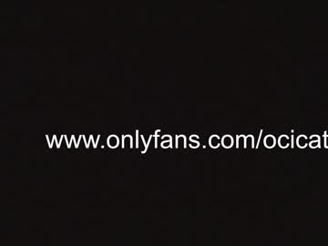 local cam girl ocicat image #2434219