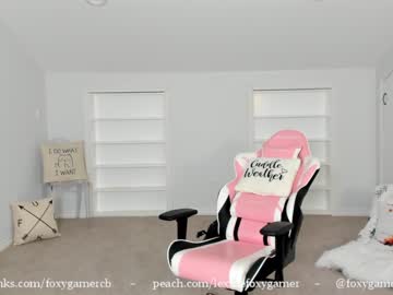 local cam girl foxy_gamer image #402779