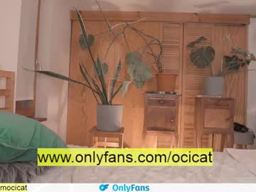 local cam girl ocicat image #1617543