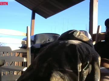 local cam man hardworkertn image #855438