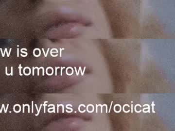 local cam girl ocicat image #2400865