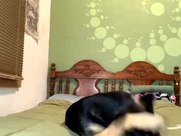 local cam girl prettyfriskyk1tty image #2414386