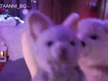 local cam girl taanni_bc image #2287451