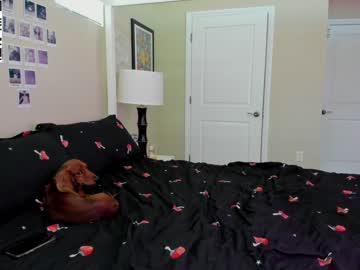 local cam girl violetttflowers image #1849064
