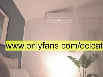 local cam girl ocicat image #2076137