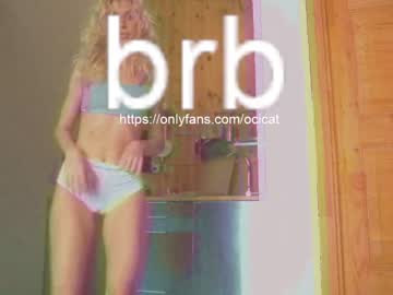 local cam girl ocicat image #1807925