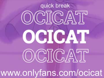 local cam girl ocicat image #1521926