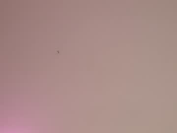 local cam girl sae__ image #1872728