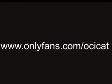 local cam girl ocicat image #2439050