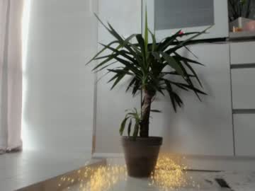 local cam girl meryfoxxx image #1867079