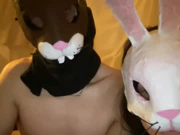easterhunny local cam