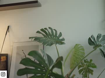 local cam girl soulvanah image #1329781