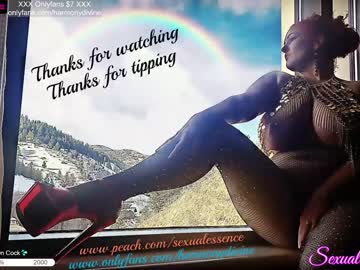 local cam girl sexual_essence image #391371