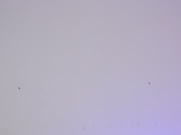 local cam girl sapphirealice image #1349243