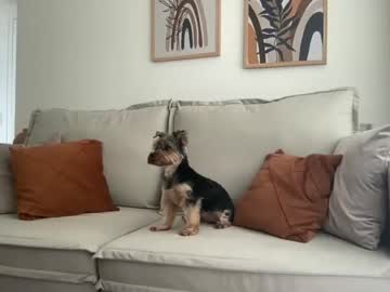 local cam girl mayahepburn image #2350133