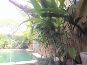local cam girl coy_amina image #939156